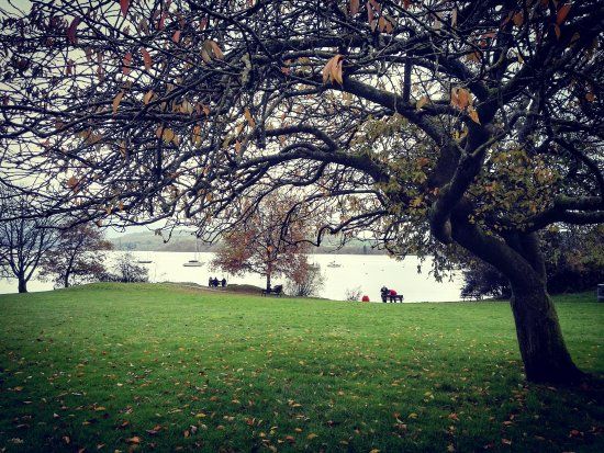 Borrans Park